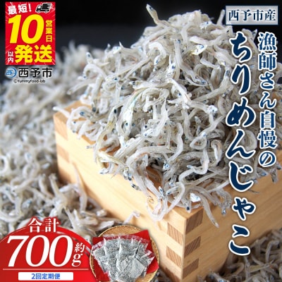 【定期便2ヶ月】<漁師さん自慢のちりめんじゃこ 合計700g>濵田水産 ちりめん えひめ 愛媛 魚