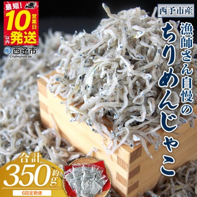 【定期便6ヶ月】<漁師さん自慢のちりめんじゃこ 合計350g>濵田水産 ちりめん えひめ 愛媛 魚
