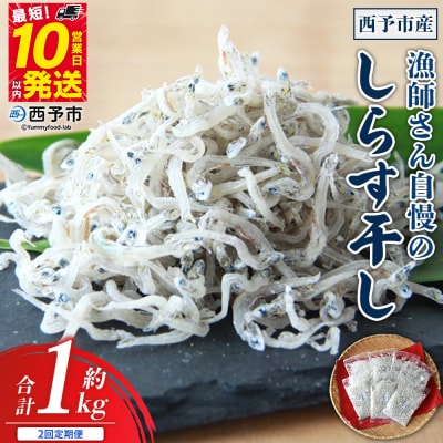 【定期便2ヶ月】<漁師さん自慢のしらす干し 1kg>濵田水産 えひめ 愛媛 魚