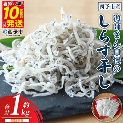 【定期便6ヶ月】<漁師さん自慢のしらす干し 1kg>濵田水産 えひめ 愛媛 魚