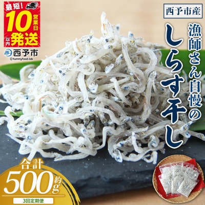 【定期便3ヶ月】<漁師さん自慢のしらす干し 500g>濵田水産 えひめ 愛媛 魚