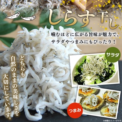 【定期便2ヶ月】<ちりめん&しらす干し お試し食べ比べセット 合計410g >濵田水産 愛媛 魚