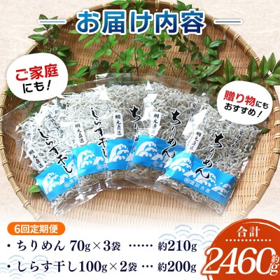 【定期便6ヶ月】<ちりめん&しらす干し お試し食べ比べセット 合計410g >濵田水産 愛媛 魚