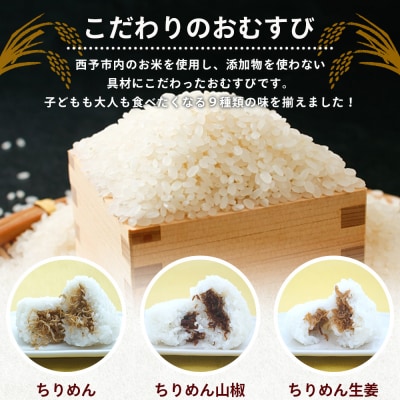 【定期便3ヶ月】<漁師の朝めし 9種おむすびセット合計18個>祇園丸 おにぎり 魚 愛媛