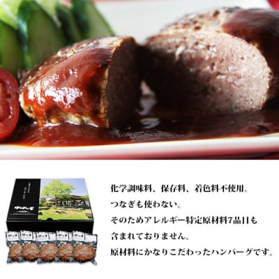 【定期便2ヶ月】<熟成肉 はなが牛ハンバーグ6個>ゆうぼく お肉 愛媛 おいしい 国産