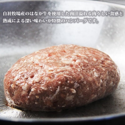 【定期便6ヶ月】<熟成肉 はなが牛ハンバーグ6個>ゆうぼく お肉 愛媛 おいしい 国産