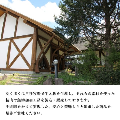 【定期便3ヶ月】<熟成肉 はなが牛ハンバーグ6個>ゆうぼく お肉 愛媛 おいしい 国産