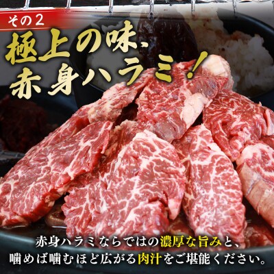 【定期便2ヶ月】<やわらか 味付き 牛ハラミ  特性タレ漬け> MMW0029　肉  愛媛