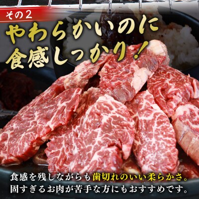 【定期便6ヶ月】<やわらか 味付き 牛ハラミ 約1kg 麹熟成>肉 おいしい 愛媛
