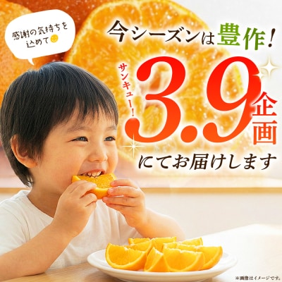 <愛媛県西予市産 甘平 家庭用  サンキューパック 約4.9kg(3.9kg+1kg)>宇都宮物産