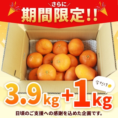 <愛媛県西予市産 甘平 家庭用  サンキューパック 約4.9kg(3.9kg+1kg)>宇都宮物産
