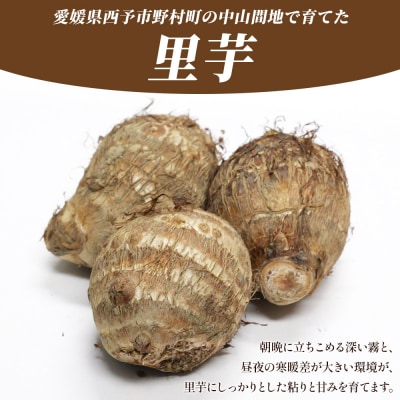 <朝霧育ちのねっとり里芋 約1kg>野菜 やさい さといも 