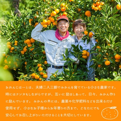 <不知火 訳あり 約2kg> 柑橘 愛媛 果物 くだもの 訳アリおれんじはーと