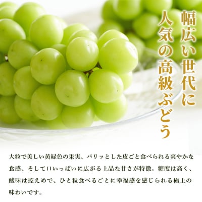 <シャインマスカット 約2kg> 果物  フルーツ ぶどうファームNINOMIYA愛媛