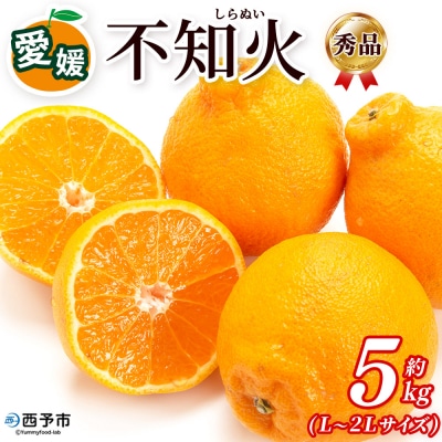 <秀品 不知火 (L～2Lサイズ) 約5kg>愛媛 蜜柑 ミカン みかん えひめ 丸二青果