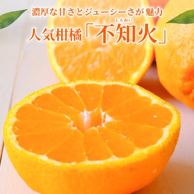 <秀品 不知火 (L～2Lサイズ) 約5kg>愛媛 蜜柑 ミカン みかん えひめ 丸二青果