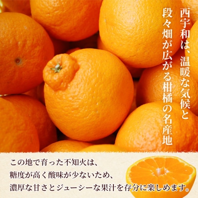 <秀品 不知火 (L～2Lサイズ) 約5kg>愛媛 蜜柑 ミカン みかん えひめ 丸二青果