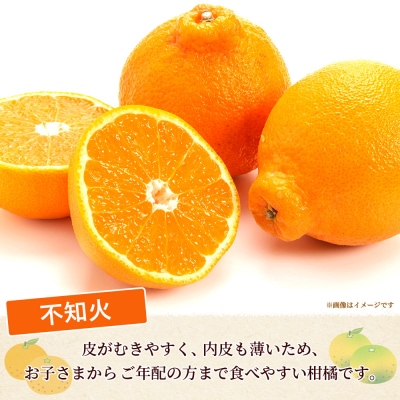 <秀品 不知火 (L～2Lサイズ) 約5kg>愛媛 蜜柑 ミカン みかん えひめ 丸二青果