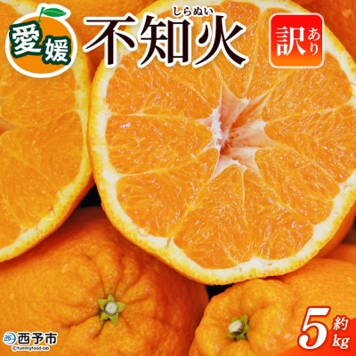 <訳あり 不知火 (サイズ混合) 約5kg愛媛 蜜柑 ミカン不知火丸二青果