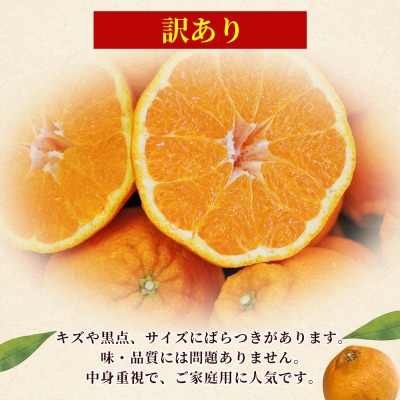 <訳あり 不知火 (サイズ混合) 約5kg愛媛 蜜柑 ミカン不知火丸二青果
