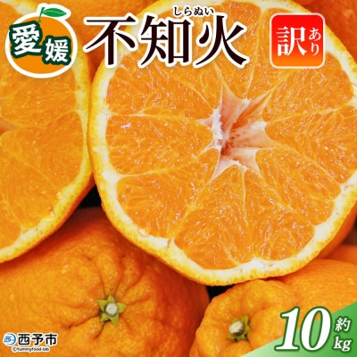 <訳あり 不知火 (サイズ混合) 約10kg愛媛 蜜柑 ミカン不知火丸二青果