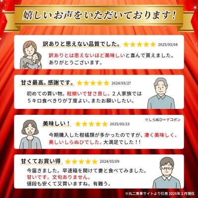 <訳あり 不知火 (サイズ混合) 約10kg愛媛 蜜柑 ミカン不知火丸二青果