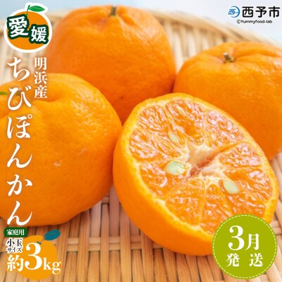 【3月配送】愛媛県明浜産 ちびぽんかん 家庭用 約3kg生産量全国1位 渡江から一歩を踏み出す会