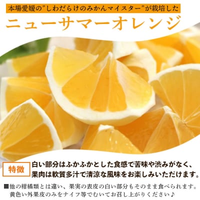 <愛媛県西予市産 ニューサマーオレンジ 家庭用 約2kg>渡江から一歩を踏み出す会