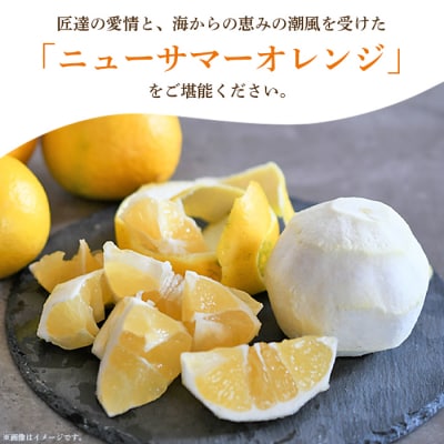 <愛媛県西予市産 ニューサマーオレンジ 家庭用 約2kg>渡江から一歩を踏み出す会