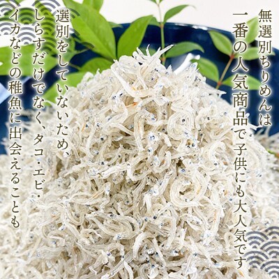 【定期便2ヶ月】<井上のちりめん 無選別 合計約360g>  選べる 定期便 ちりめんじゃこ エビ