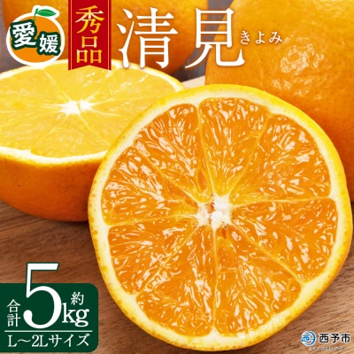 <秀品 清見 (L～2Lサイズ) 約5kg>愛媛 蜜柑 ミカン丸二青果