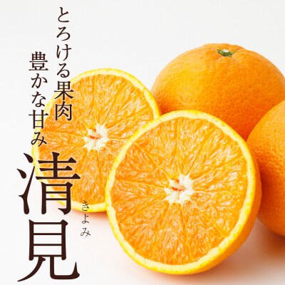<秀品 清見 (L～2Lサイズ) 約5kg>愛媛 蜜柑 ミカン丸二青果