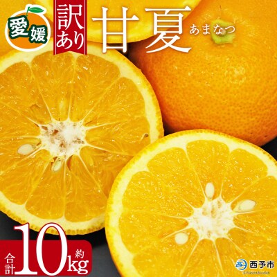 <訳あり 甘夏 (サイズ混合) 約10kg>あまなつ 愛媛 程よい酸味 丸二青果 