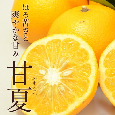 <訳あり 甘夏 (サイズ混合) 約10kg>あまなつ 愛媛 程よい酸味 丸二青果 