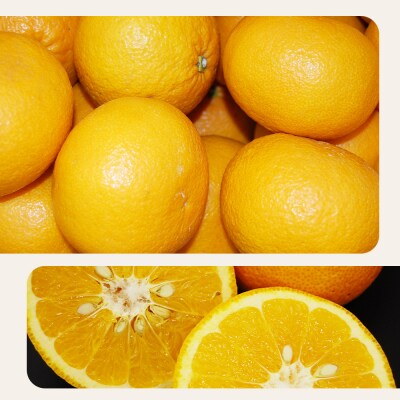 <訳あり 甘夏 (サイズ混合) 約10kg>あまなつ 愛媛 程よい酸味 丸二青果 