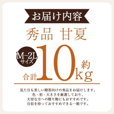 <秀品 甘夏 (M～2Lサイズ) 約10kg> あまなつ 愛媛 丸二青果 えひめ みかん