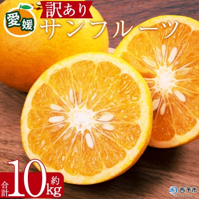 <訳あり サンフルーツ (サイズ混合) 約10kg>愛媛 蜜柑 ミカン丸二青果