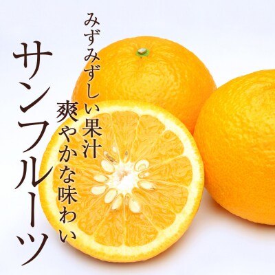 <訳あり サンフルーツ (サイズ混合) 約10kg>愛媛 蜜柑 ミカン丸二青果
