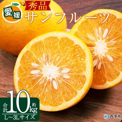 <秀品 サンフルーツ (L～3Lサイズ) 約10kg>果汁 愛媛 丸二青果 愛媛