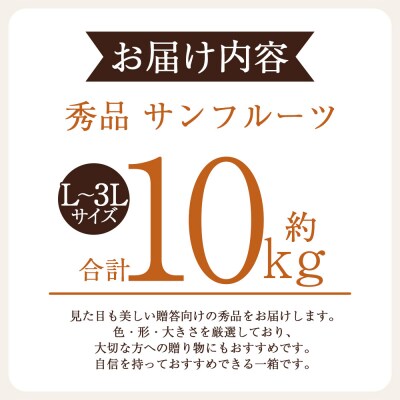 <秀品 サンフルーツ (L～3Lサイズ) 約10kg>果汁 愛媛 丸二青果 愛媛