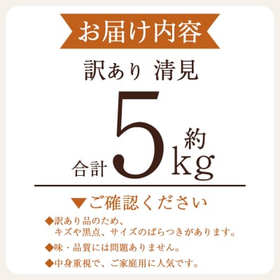 <訳あり 清見 (サイズ混合) 約5kg愛媛 蜜柑 ミカン  丸二青果 国産 きよみ