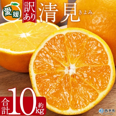 <訳あり 清見 (サイズ混合) 約10kg愛媛 蜜柑 ミカン 丸二青果 国産 きよみ