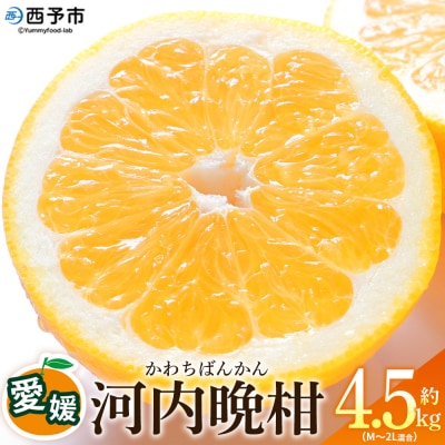 <愛媛県産 河内晩柑 約4.5kgM～2L> 農園オレンジとムラサキ 愛媛