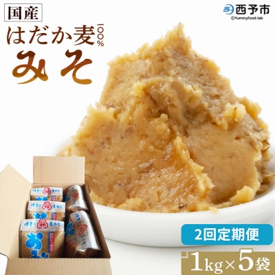 <定期便2ヶ月 はだか麦 100% みそ 5kg(1kg×5袋>味噌　だるまや 天然醸造 伝統