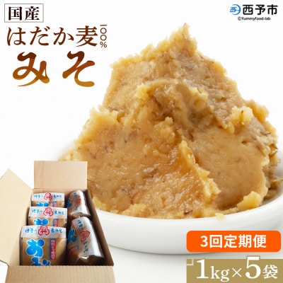 <定期便3ヶ月 はだか麦 100% みそ 5kg(1kg×5袋>味噌　だるまや 天然醸造 伝統