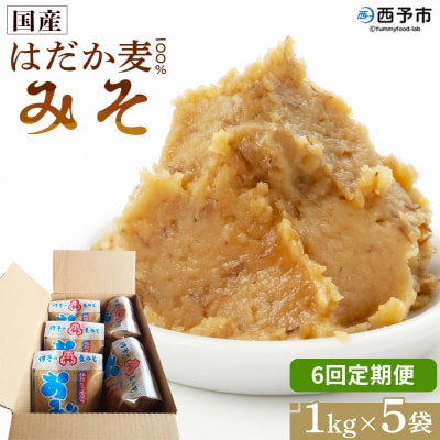 <定期便6ヶ月 はだか麦 100% みそ 5kg(1kg×5袋>味噌　だるまや 天然醸造 伝統