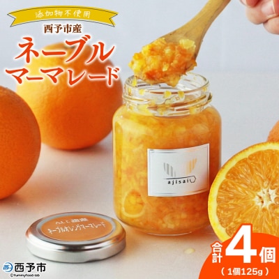 <ネーブルマーマレードジャム 125g×4個>株式会社味彩 愛媛県