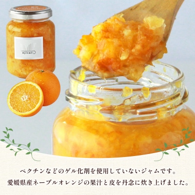 <ネーブルマーマレードジャム 125g×4個>株式会社味彩 愛媛県