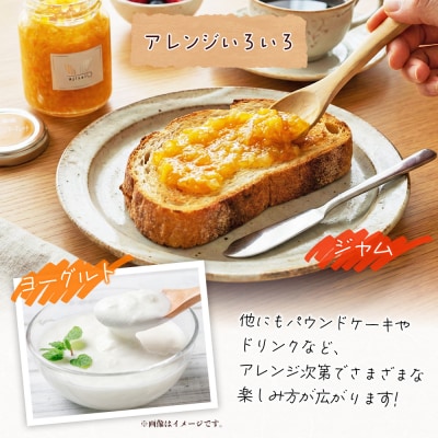 <ネーブルマーマレードジャム 125g×4個>株式会社味彩 愛媛県