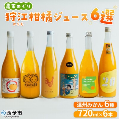 <農家めぐり 狩江柑橘ジュース 6選(温州みかん)> 温州みかん 南柑20号 愛媛